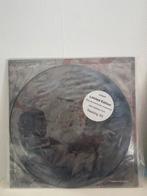 Stone temple pilots lp picture vinyl limited, Ophalen of Verzenden, Nieuw in verpakking, 12 inch, Poprock