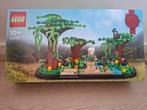 Lego 40530, jane goodall, Kinderen en Baby's, Speelgoed | Duplo en Lego, Ophalen, Zo goed als nieuw, Complete set, Lego