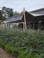 Te koop: Stretchtent doek 7,5x10,5 meter, chino/zand, Tuin en Terras, Ophalen, Zo goed als nieuw, Minder dan 5 meter