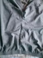 Grijze 3 kwart broek.  Maat 56, Nieuw, Ophalen of Verzenden, Grijs, Hema
