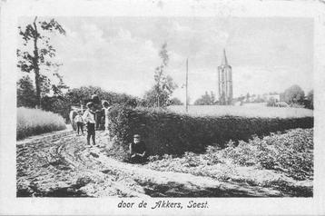 (380-818-033) Soest door de Akkers beschikbaar voor biedingen
