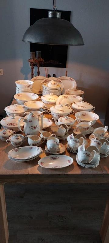 Mooi, groot Petrus Regout Servies - Compleet! beschikbaar voor biedingen