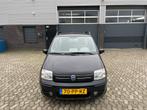Fiat Panda 1.2 Emotion, CLIMA, NAP, NW APK, Gebruikt, Panda, 400 kg, Zwart