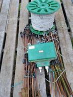 Rastermateriaal schaap, Dieren en Toebehoren, Schapen, Geiten en Varkens, Vrouwelijk, Schaap