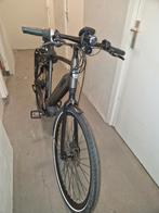 Gazelle cityzen speed pedelec 45kmph, Fietsen en Brommers, Elektrische fietsen, Ophalen, Zo goed als nieuw, 59 cm of meer, 50 km per accu of meer