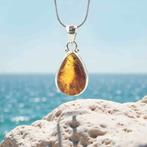 Barnsteen (amber) hanger in 925 zilver, -, -, Nieuw, Ophalen of Verzenden