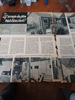 Artikel over mensen in varkenshokken Veenendaal Versteeg, Ophalen of Verzenden, 1940 tot 1960, Knipsel(s)