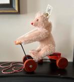 Steiff Record Teddy met plaatje en knop, Ophalen of Verzenden