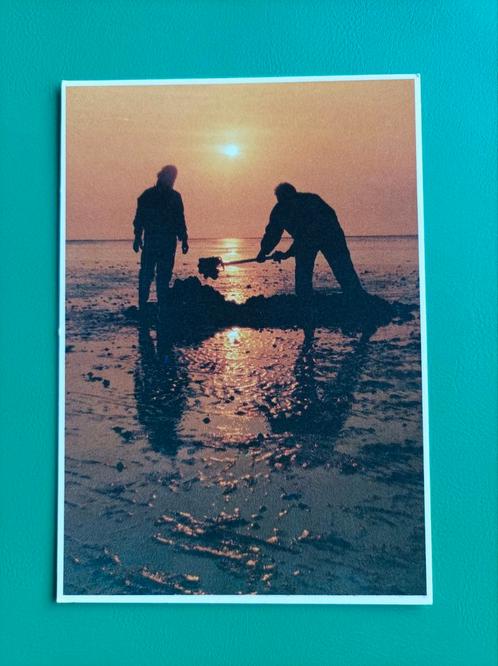 3.17. Pierenstekers. Waddenzee. Zonsondergang, Verzamelen, Ansichtkaarten | Themakaarten, Ongelopen, Ophalen of Verzenden