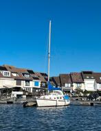 Zeilboot te koop Halcyon 23 (1974), Watersport en Boten, Ophalen, Gebruikt, 6 tot 9 meter, Polyester