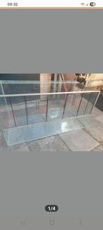 Glazen hok, kooi, terrarium, Zo goed als nieuw, Ophalen, Minder dan 60 cm, Hok