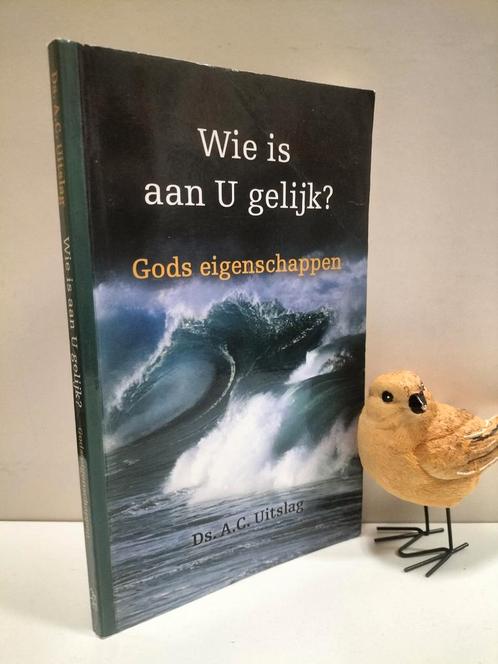 Uitslag, Ds A.C.; Wie is aan U gelijk?, Boeken, Godsdienst en Theologie, Gelezen, Christendom | Protestants, Ophalen of Verzenden