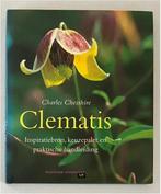 Clematis - Charles Chesshire, Ophalen of Verzenden, Overige soorten, Volle zon