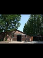 Stallenwerk aangeboden op prive stal., Dieren en Toebehoren, Meerdere dieren, Dressuurpaard