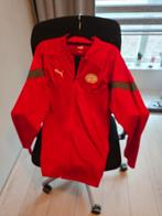 ZGAN PSV Trainingspak XL/L, Ophalen of Verzenden, Zo goed als nieuw, Puma