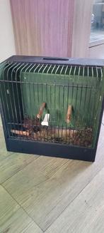 Nette tt kooi, Dieren en Toebehoren, Ophalen of Verzenden, Zo goed als nieuw, Hout, Vogelkooi