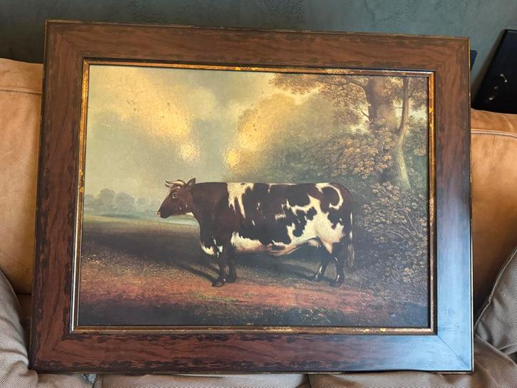 Schilderij Koe in Landschap, Antiek en Kunst, Kunst | Schilderijen | Klassiek, Ophalen