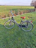 Damesfiets, Versnellingen, Ophalen, Overige merken, 53 tot 56 cm