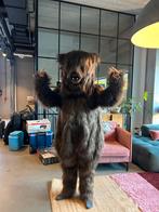 MOET SNEL WEG Berenpak Beer carnaval verkleedpak, Ophalen of Verzenden, Zo goed als nieuw, Carnaval