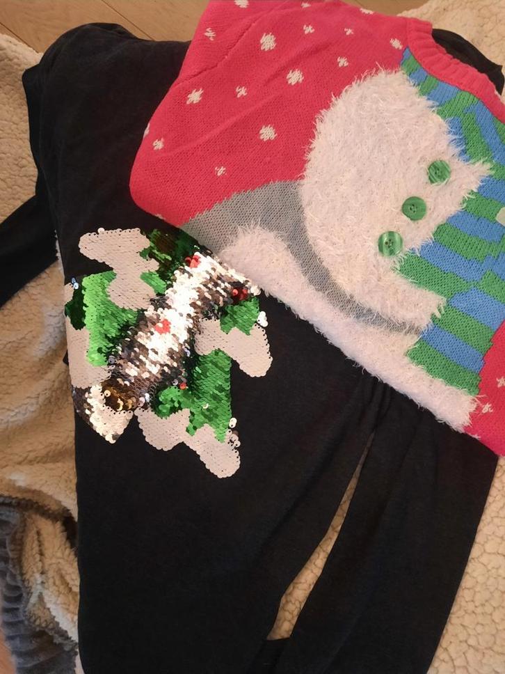 2x Kersttrui/Wintertrui Maat 152/158, Kinderen en Baby's, Kinderkleding | Maat 158, Zo goed als nieuw, Ophalen of Verzenden