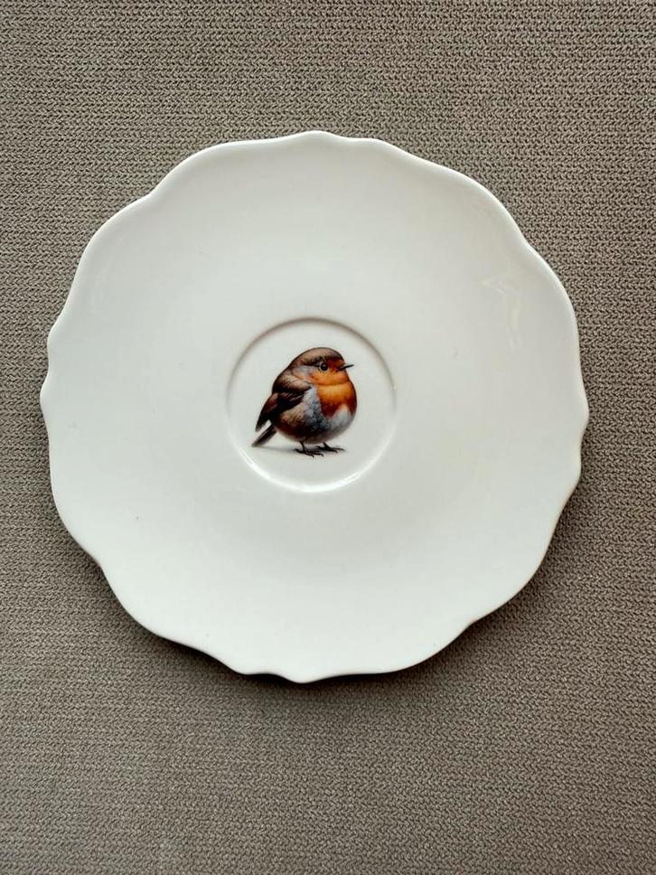Nieuw Xenos porseleinen bordje met roodborst, Verzamelen, Porselein, Kristal en Bestek, Nieuw, Bord of Schaal, Porselein, Ophalen of Verzenden