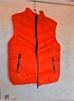 Nieuwe bodywarmer maat XL. Okselmaat 54 cm. Unisex, Kleding | Dames, Bodywarmers, Ophalen of Verzenden, Nieuw, Maat 46/48 (XL) of groter
