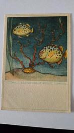 Oude Ansichtkaart Scatophagus Argus - 1944, Ophalen of Verzenden, 1940 tot 1960, Gelopen, Noord-Holland