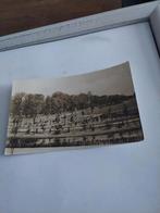 DORDRECHT. 1945. PARK. WEIZICHT, Ophalen of Verzenden, 1940 tot 1960, Zuid-Holland