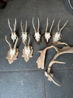 Hertengeweien Collectie, Ophalen