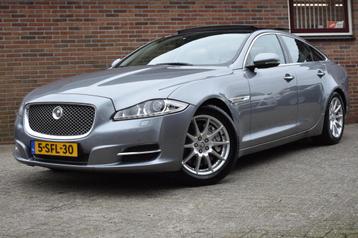 Jaguar XJ 3.0 V6D Premium Luxury '13 Pano Leder Clima Cruise beschikbaar voor biedingen