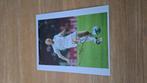Foto 20x25cm met handtekening; Jaap Stam # Ajax / PSV, Verzamelen, Verzenden, Nieuw, Ajax