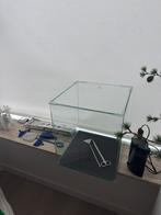 Aquarium dennerle nano cube 60 + jbl cristal profi greenline, Vis