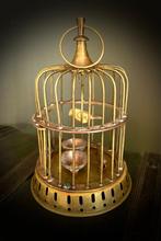 Vogelkooi Vogel Kooi Antieke Vintage curiosa messing deurtje, Antiek en Kunst, Verzenden