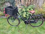 Dutch Flavor Cargo 3 Damesfiets met 3 versnellingen, Versnellingen, Ophalen, Overige merken, 53 tot 56 cm