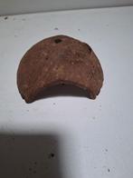 Kokosnoot schuilplek voor vissen, Dieren en Toebehoren, Ophalen of Verzenden