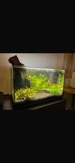 MARINA Aquarium 54 liter – compleet aquariumset, Dieren en Toebehoren, Ophalen, Zo goed als nieuw, Leeg aquarium