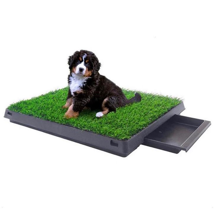Buxibo - Hondentoilet Kunstgras met Bak - 50x64 cm, Dieren en Toebehoren, Honden-accessoires, Nieuw, Ophalen