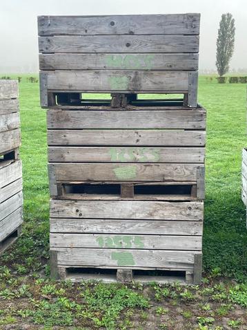 Appelkisten Fruitkisten Appelbakken Kuubkisten Palloxen beschikbaar voor biedingen