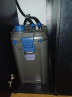 Oase BioMaster 2 Thermo 600, Dieren en Toebehoren, Ophalen, Zo goed als nieuw, Filter of Co2