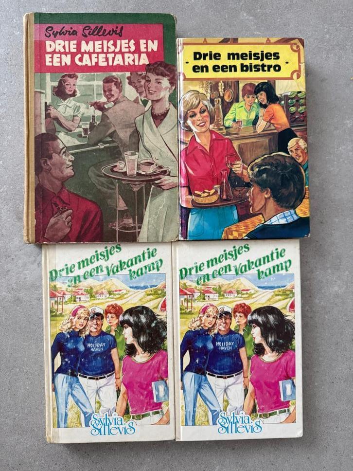 Silvia Sillevis, Drie meisjes en een....., Boeken, Kinderboeken | Jeugd | 13 jaar en ouder, Gelezen, Ophalen of Verzenden