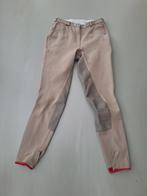 Rijbroek Eurostar, kleur bruin, maat 80, Dieren en Toebehoren, Paardrijkleding, Gebruikt, Dressuur, Dames, Onderkleding