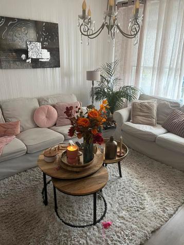 Mooie ektorp drie en tweezits banken met beige hoezen - afbeelding 3