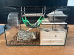 Hamsterkooi - Hamster cage with accessories  52x29x32, Kooi, Minder dan 75 cm, Minder dan 60 cm, Gebruikt