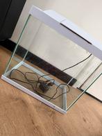 Een witte aquarium, Ophalen of Verzenden, Leeg aquarium