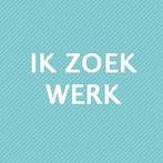 Ik zoek werk!, Rijbewijs B, 25 - 32 uur, Overige vormen