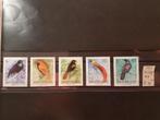 Vogelserie postfris Papua New Guinea 1993., Postzegels en Munten, Postzegels | Thematische zegels, Ophalen of Verzenden, Dier of Natuur