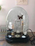 ANTIEKE STOLP MET CURIO EN VERLICHTING LAMP GLAS UNIEK, Ophalen