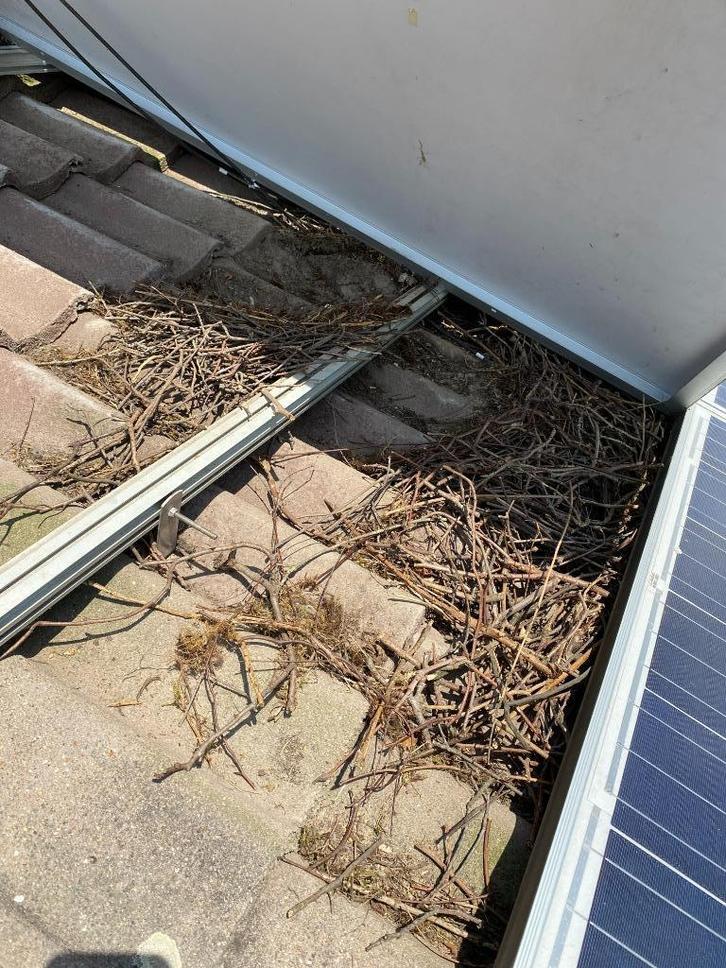 Vogelwering - Gootborstels - Zonnepanelen, Doe-het-zelf en Verbouw, Dakpannen en Dakbedekking, Nieuw, Overige typen, Kunststof