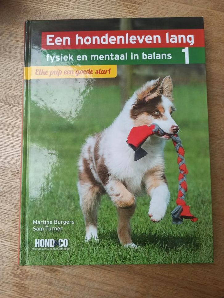 Martine Burgers - Elke pup een goede start, Boeken, Dieren en Huisdieren, Zo goed als nieuw, Honden, Ophalen of Verzenden