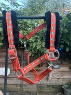 Horze halster oranje, Dieren en Toebehoren, Paarden en Pony's | Hoofdstellen en Tuigage, Ophalen of Verzenden, Zo goed als nieuw